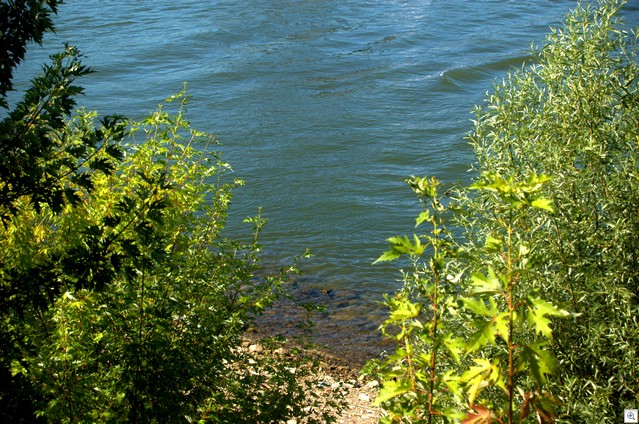 Rheinwasser