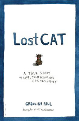 lost-cat